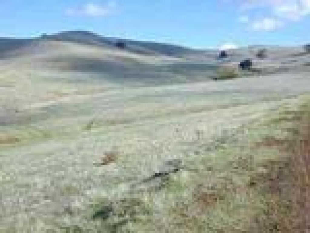 Hills