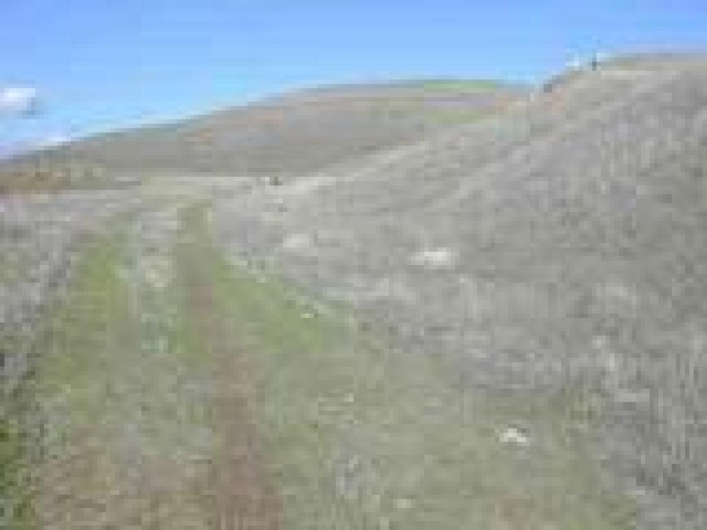 This trail starts out wide but quickly narrows