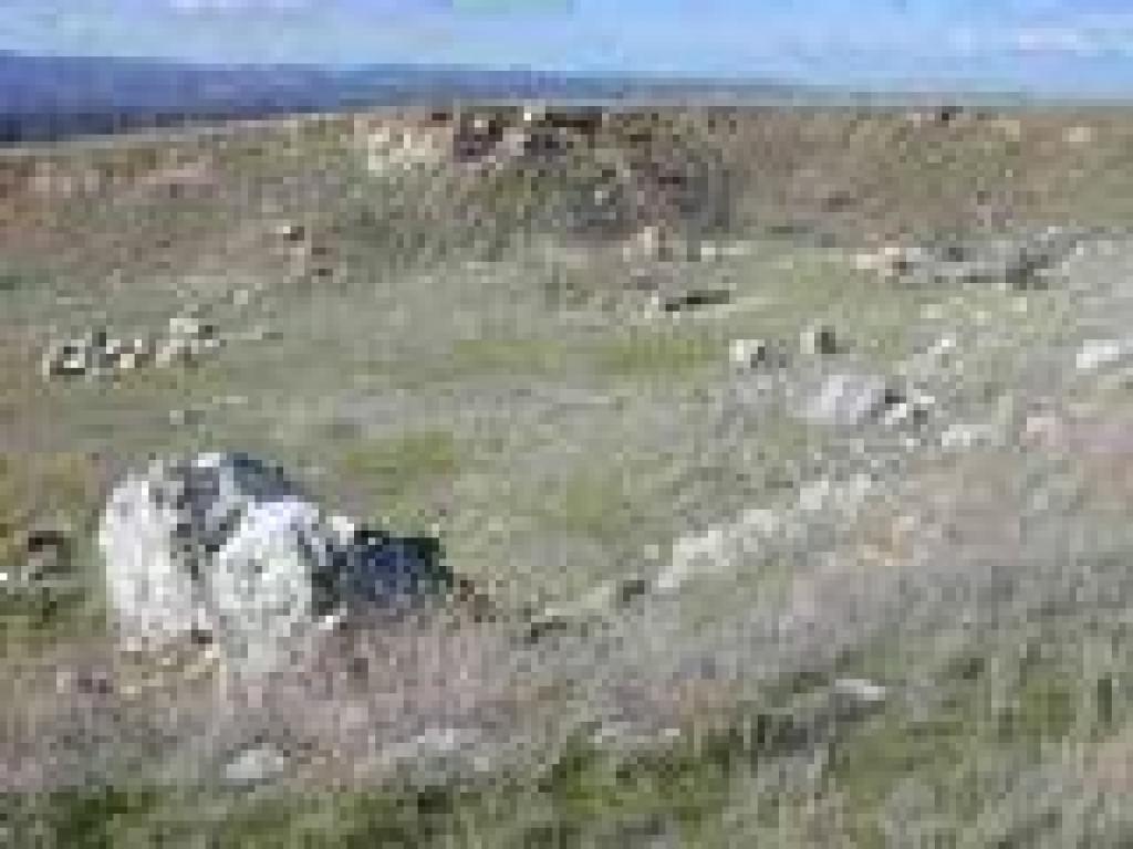 Old quarry area