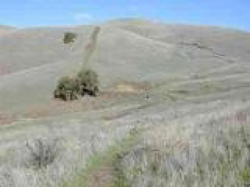 Trail dips and then climbs