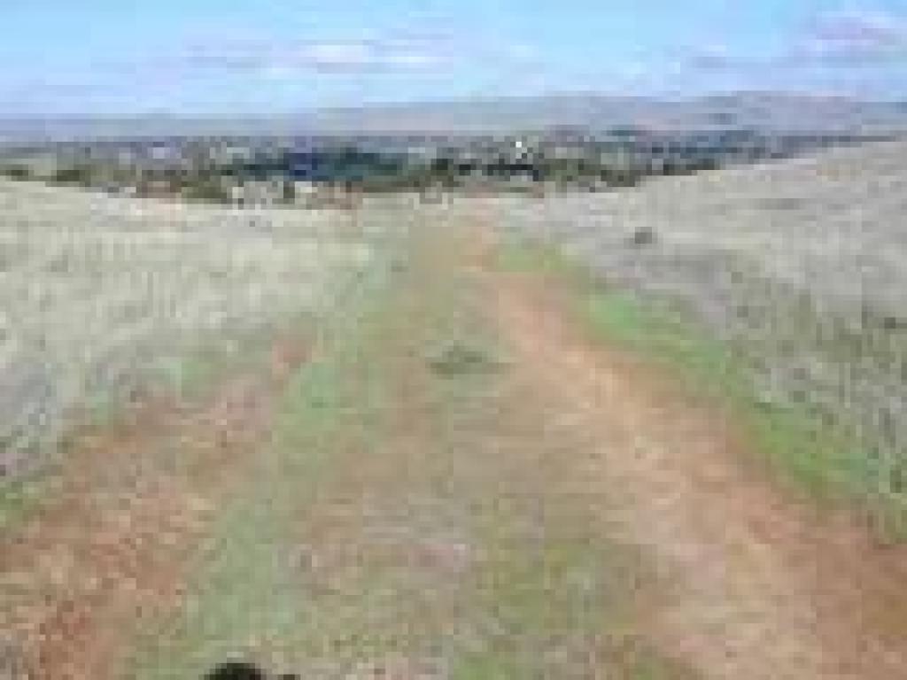 View towards Concord