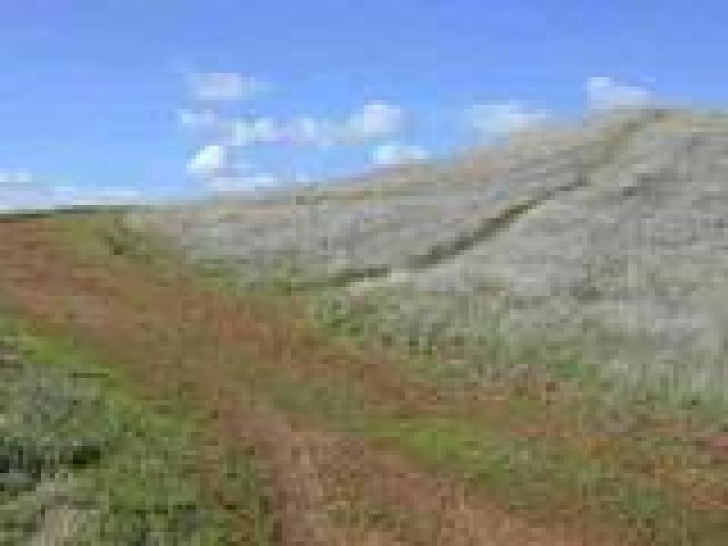 Main trail and side path