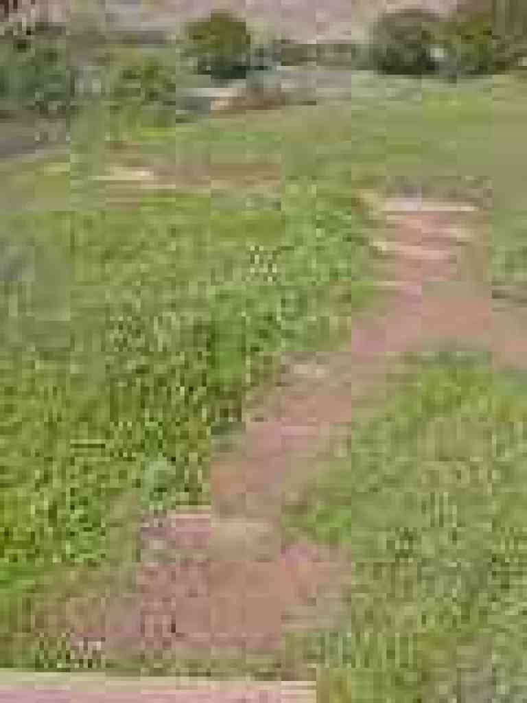 Steps downhill
