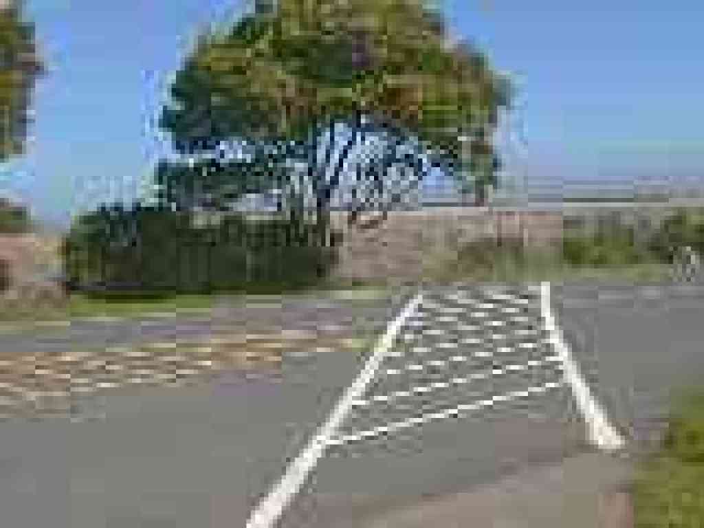 Crossing the street