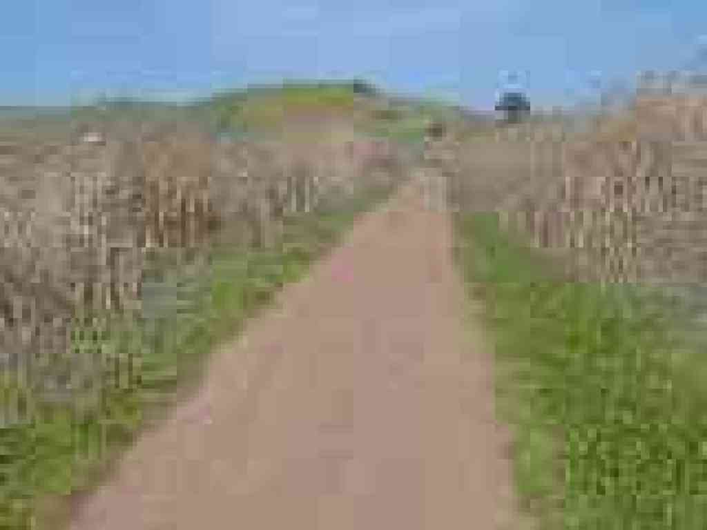 Chochenyo Trail