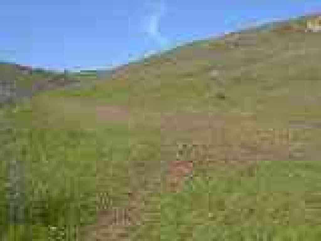 Side Trail