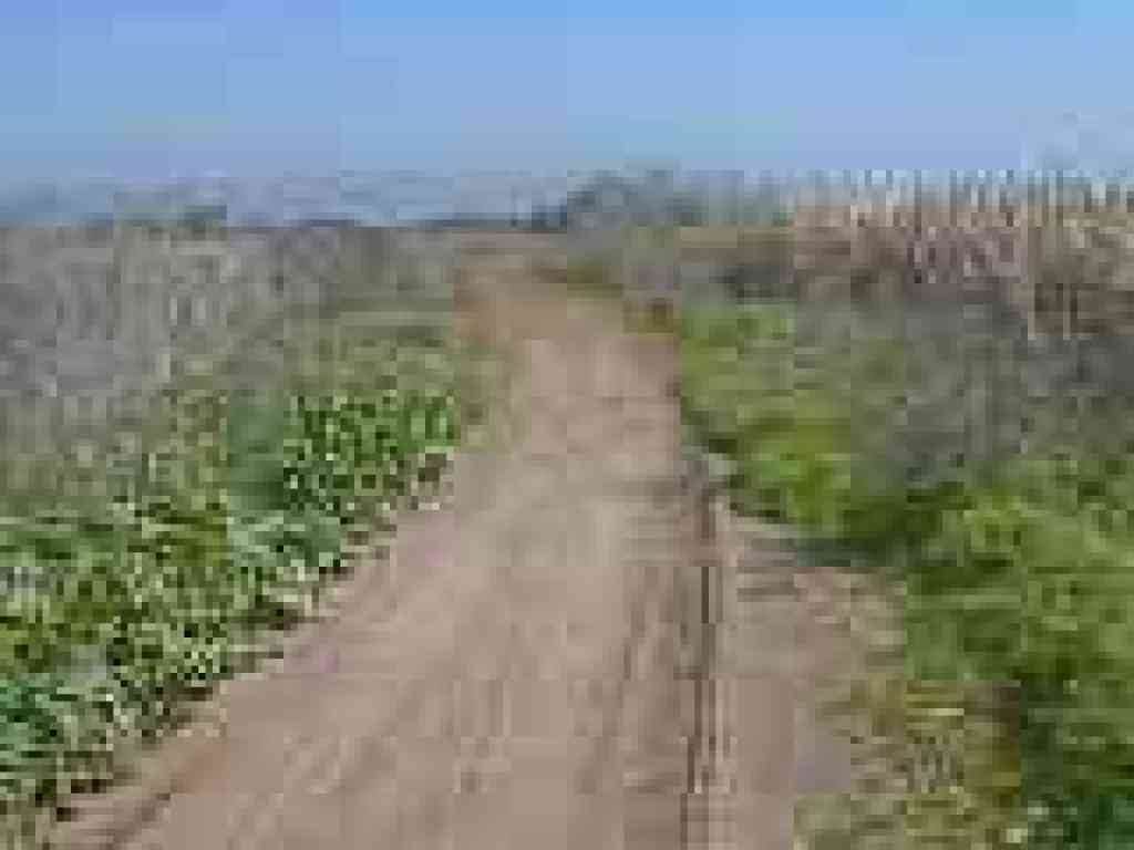Edging along marsh