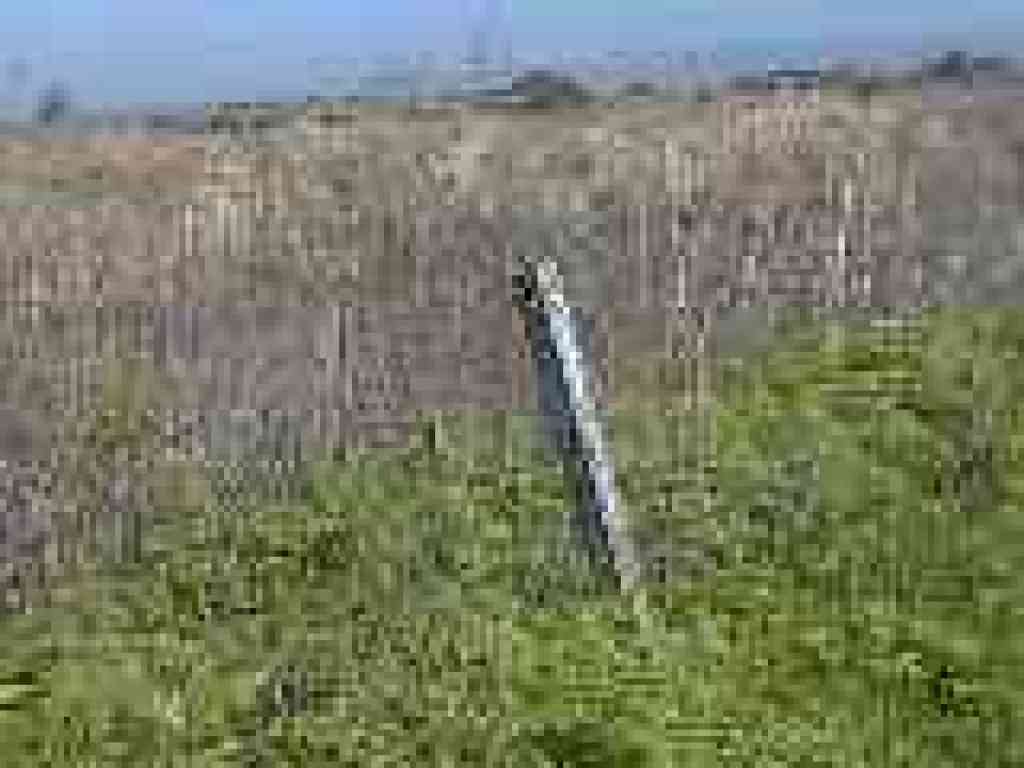 Junction