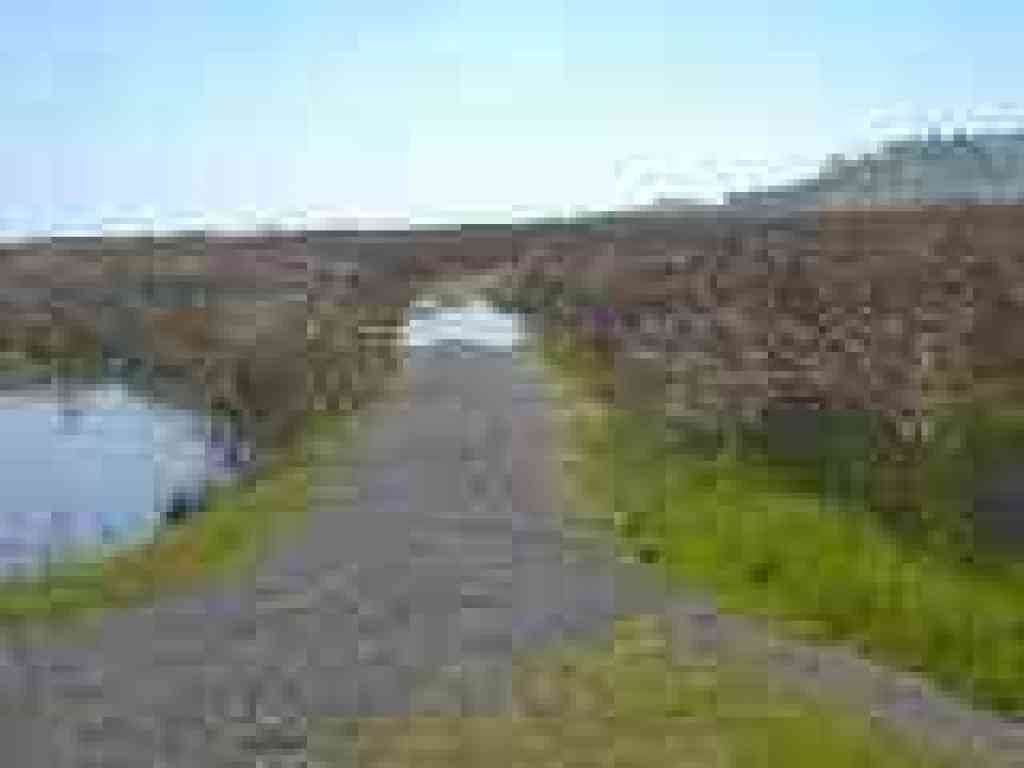 Chochenyo Trail