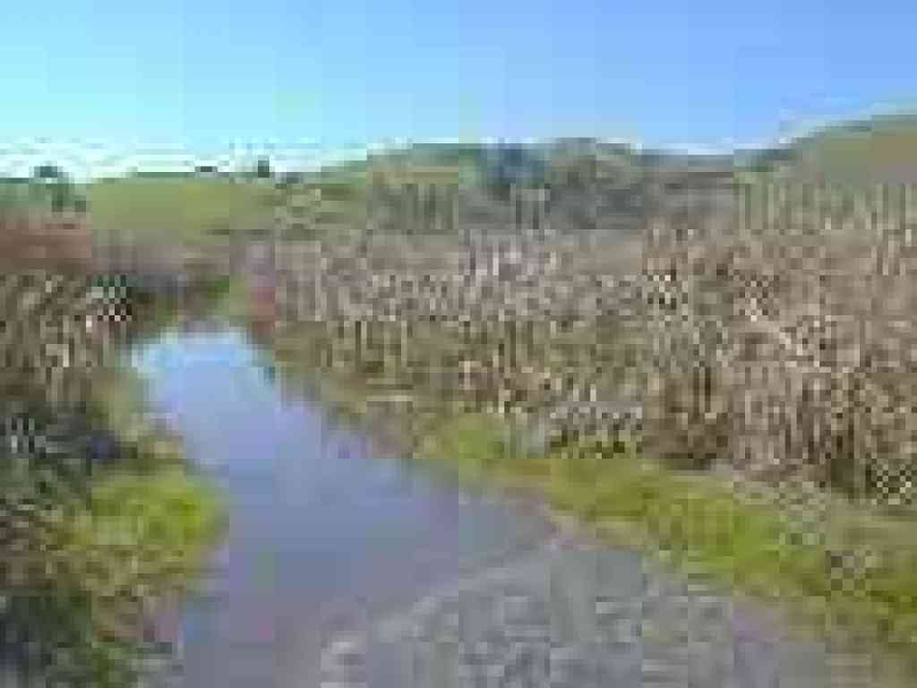 Flooded trail