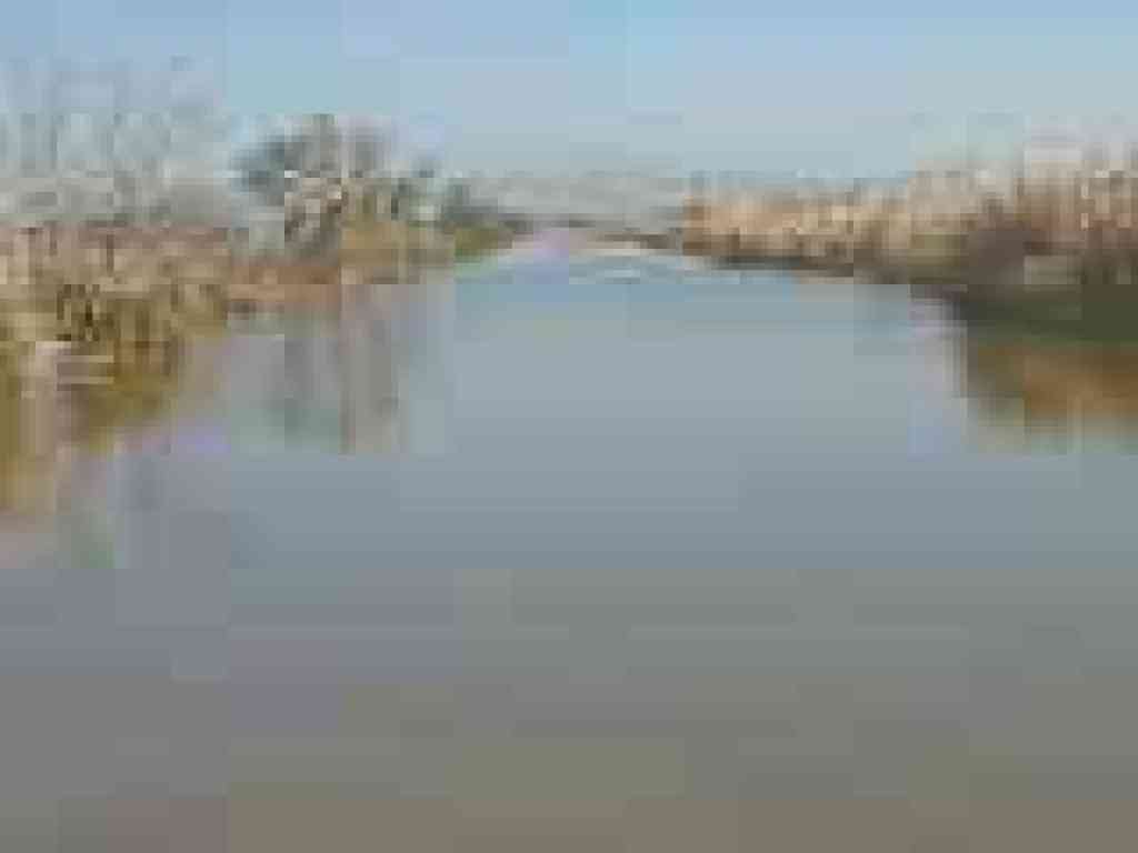 Marsh