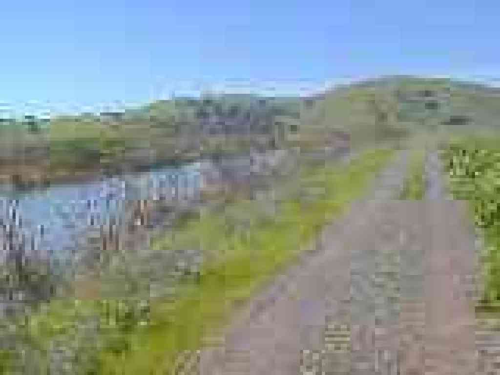 Coyote Hills