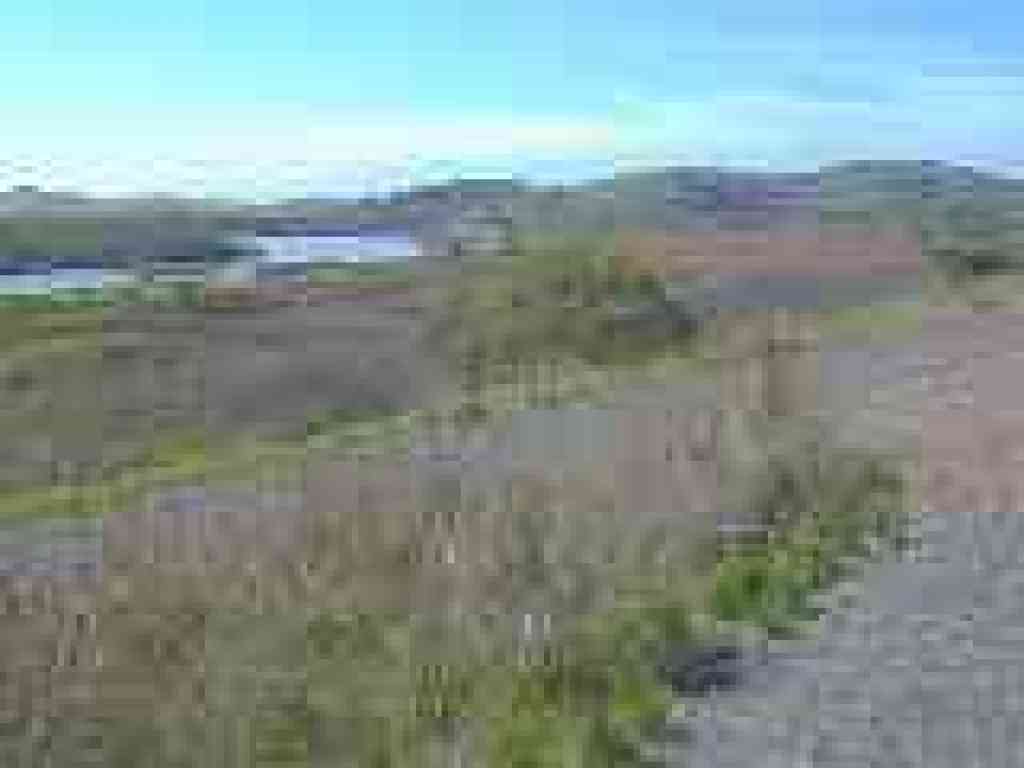 Looking west