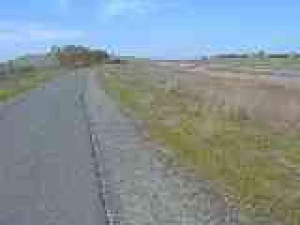 Alameda Creek Trail