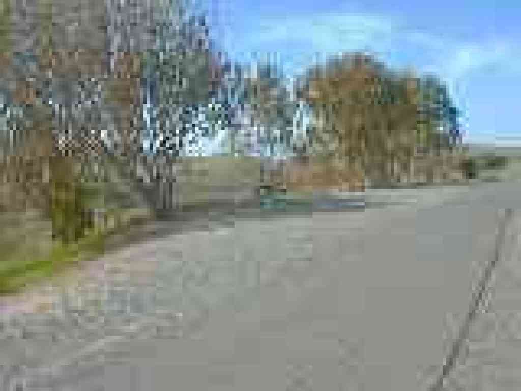 Picnic spot