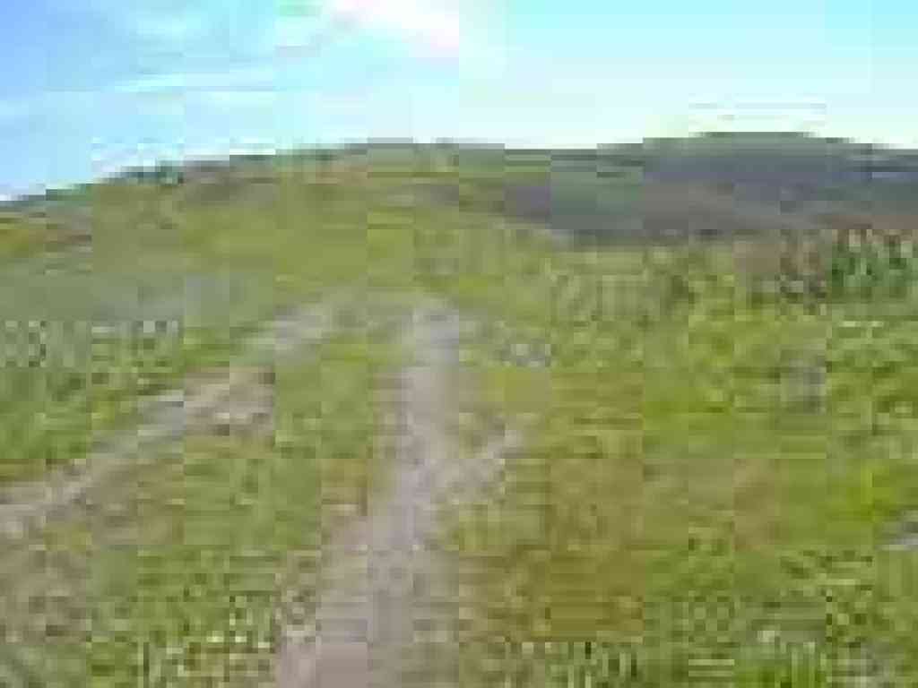 Red Hill Trail