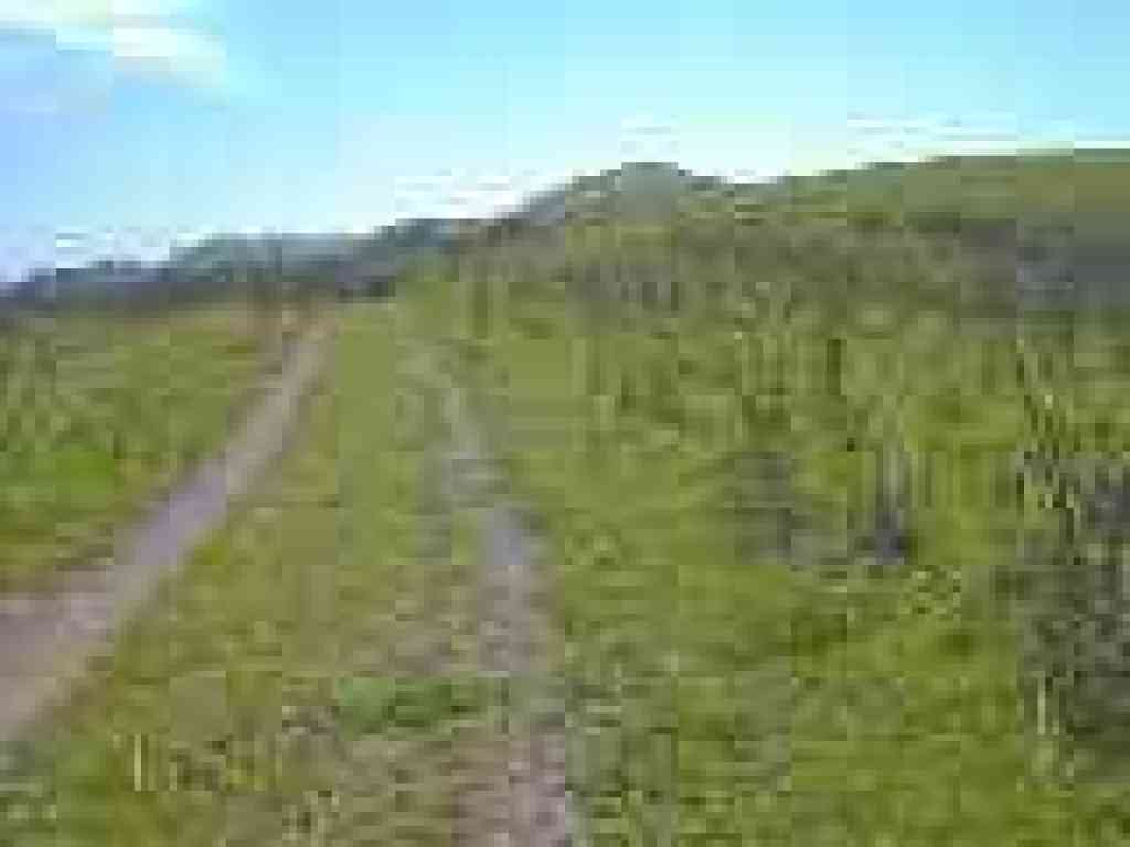 Red Hill Trail