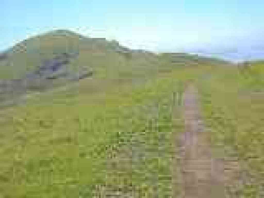 Red Hill Trail
