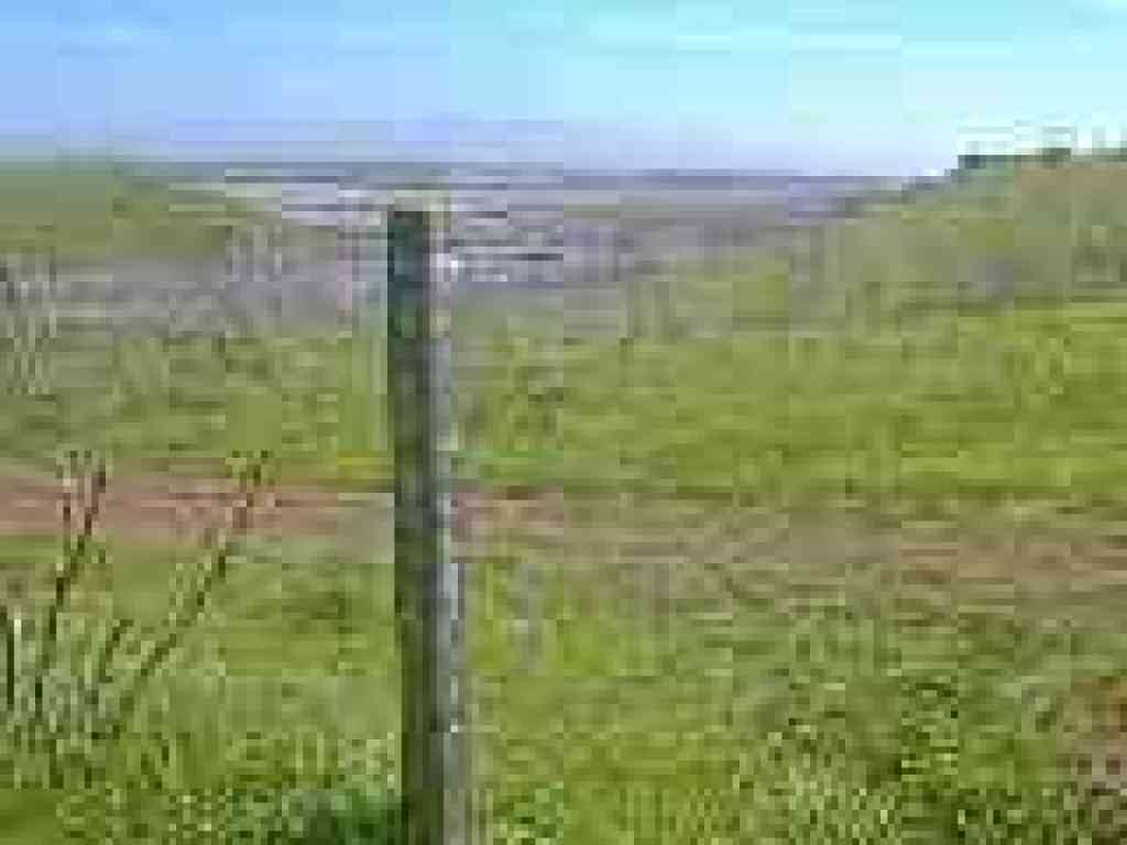 Junction