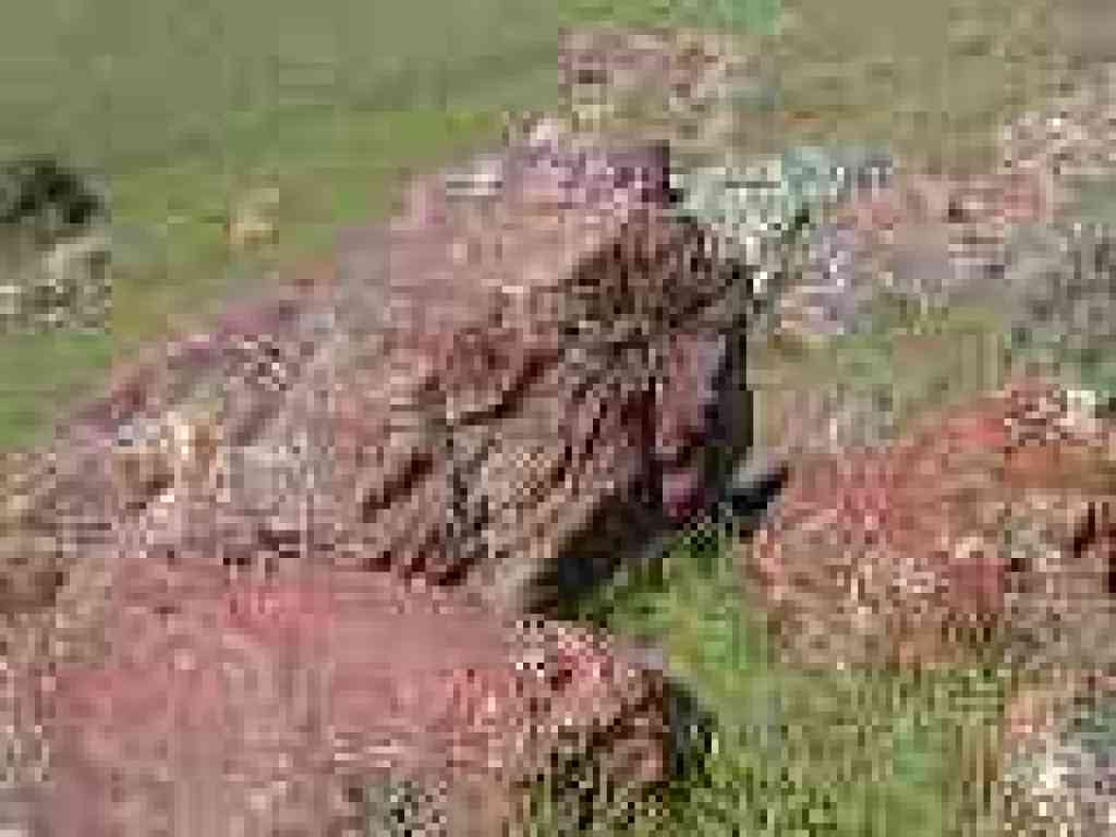 Red rocks