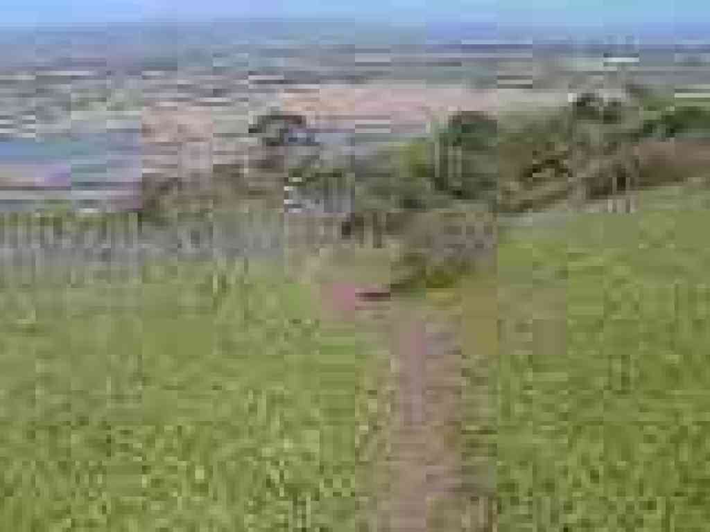 Glider Hill Trail