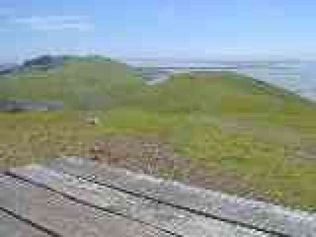 View from picnic table