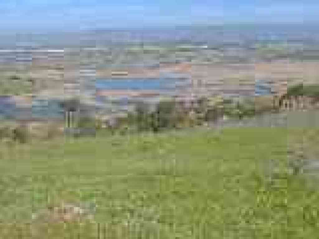 View east