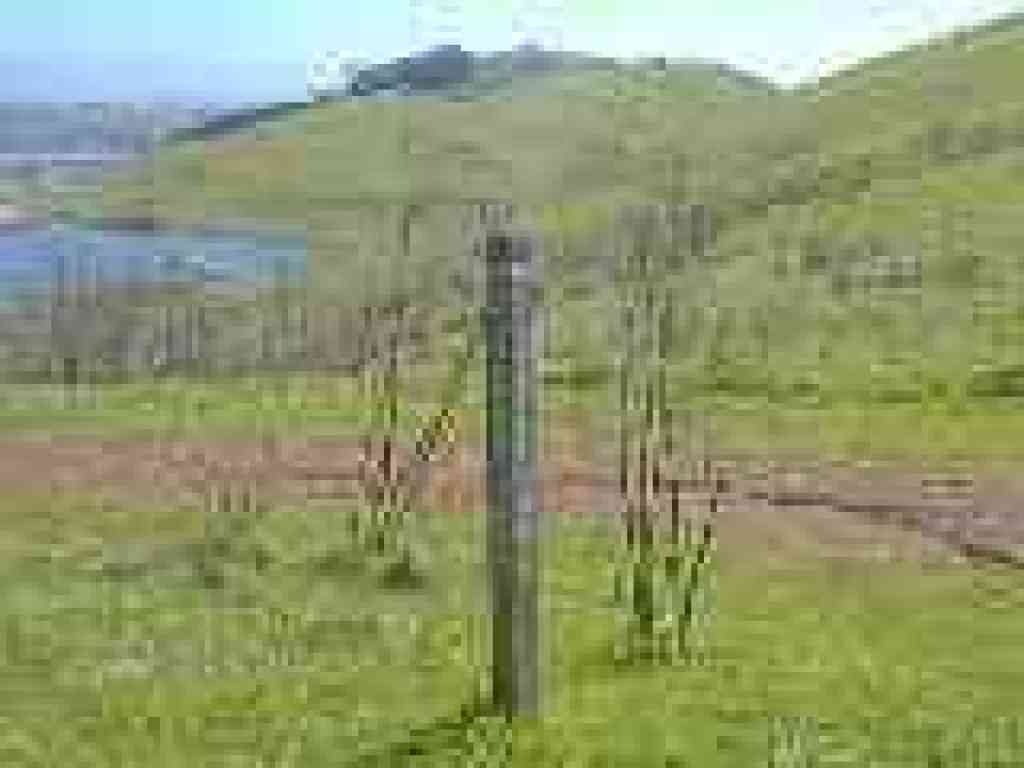 Junction