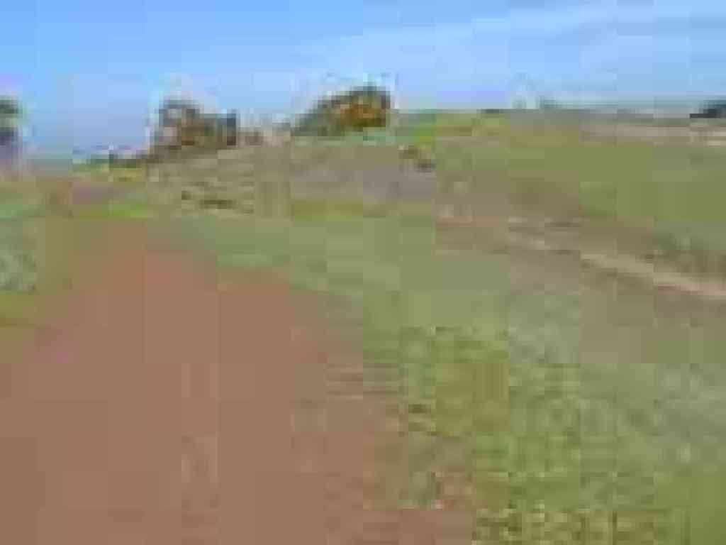 Soaproot Trail