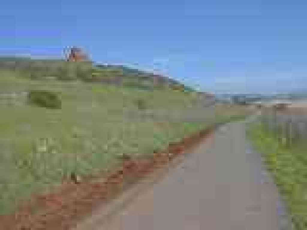 Bayview Trail