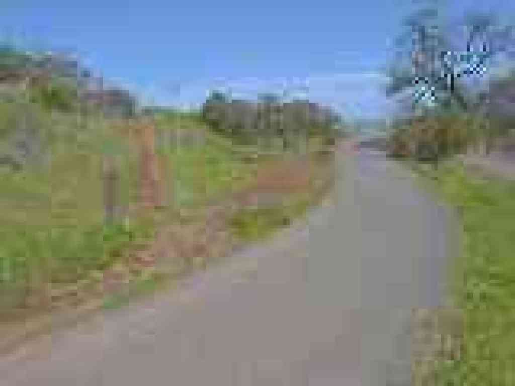 Spur