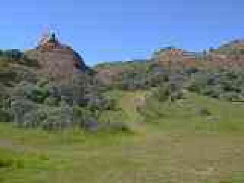 Spur
