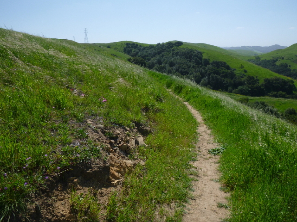 Bay Area Hiker Crockett Hills Regional Park