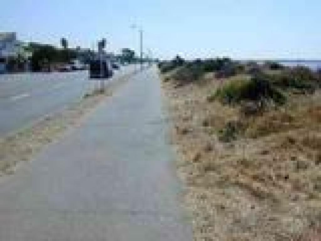 Along Shoreline Drive