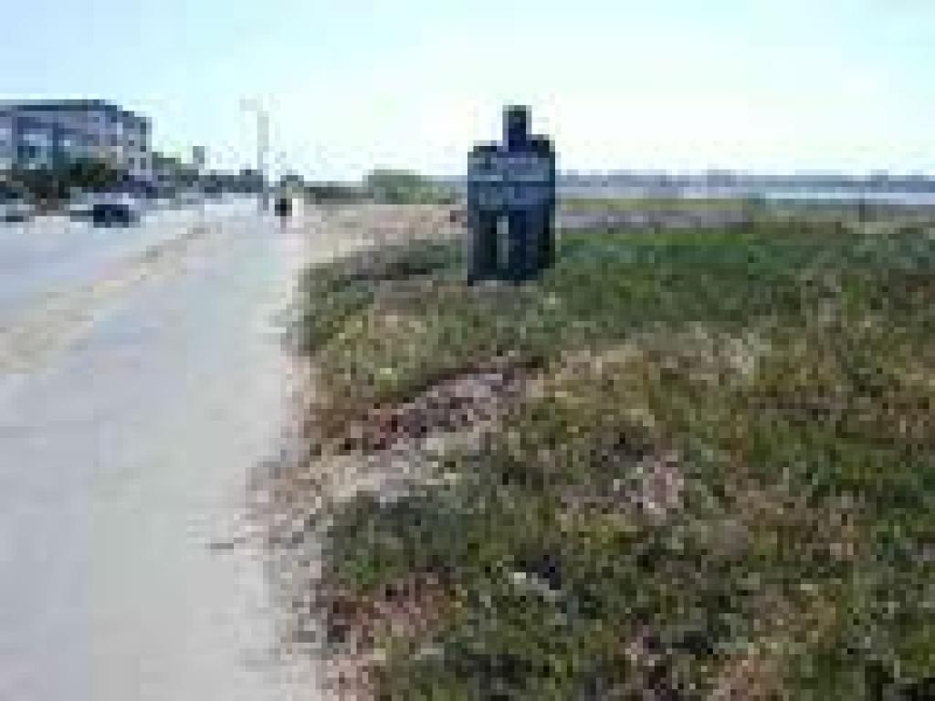 Entering the bird sanctuary