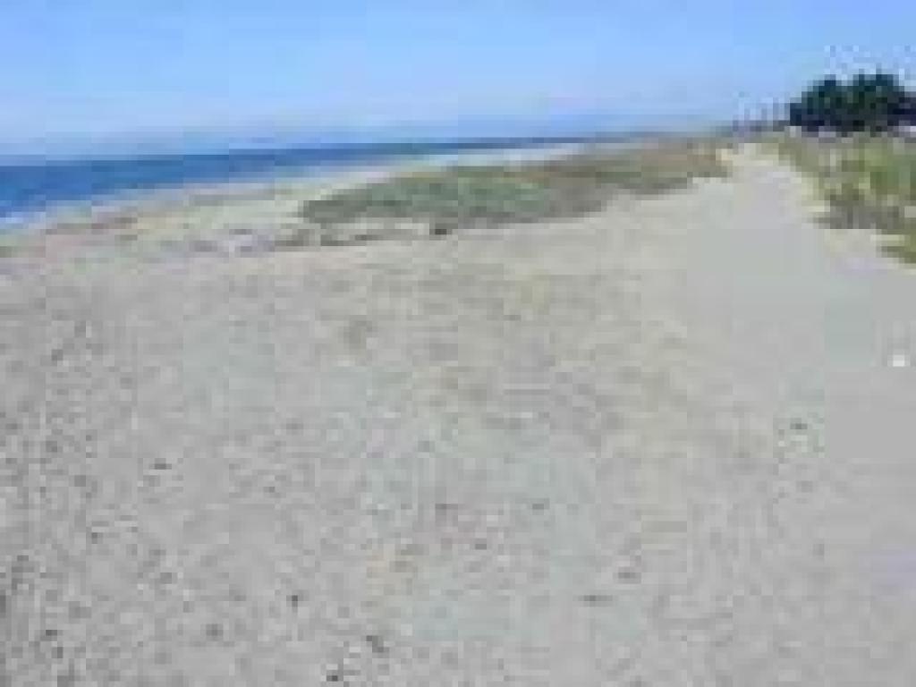 One the beach