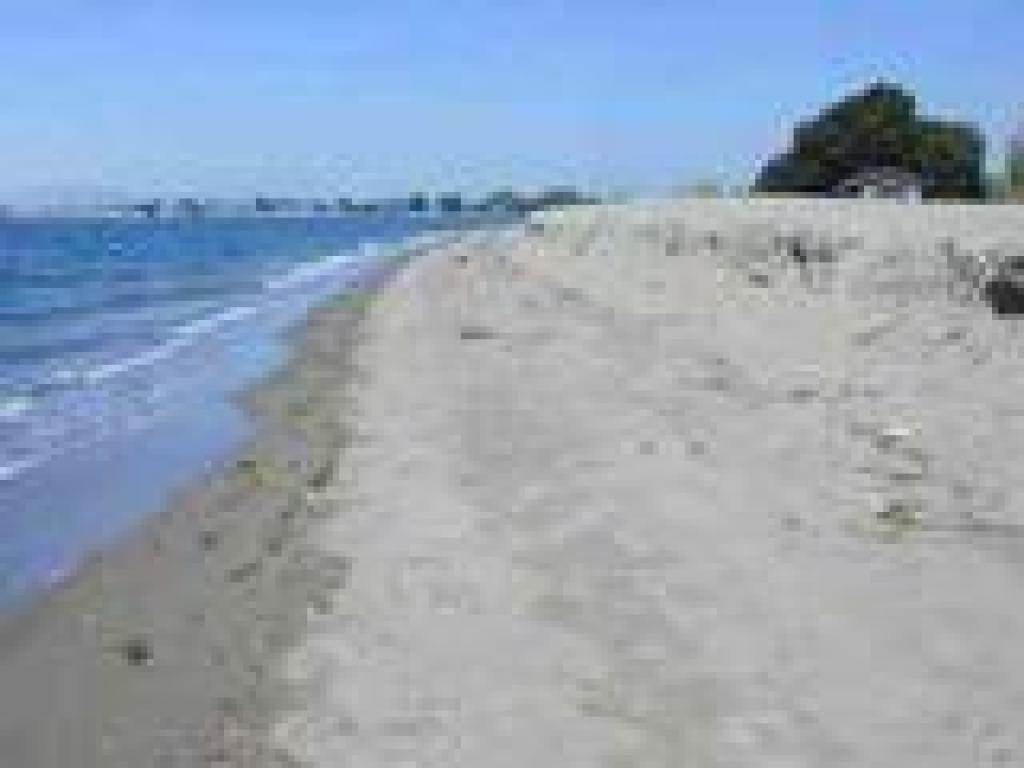 Approaching sailboard concession