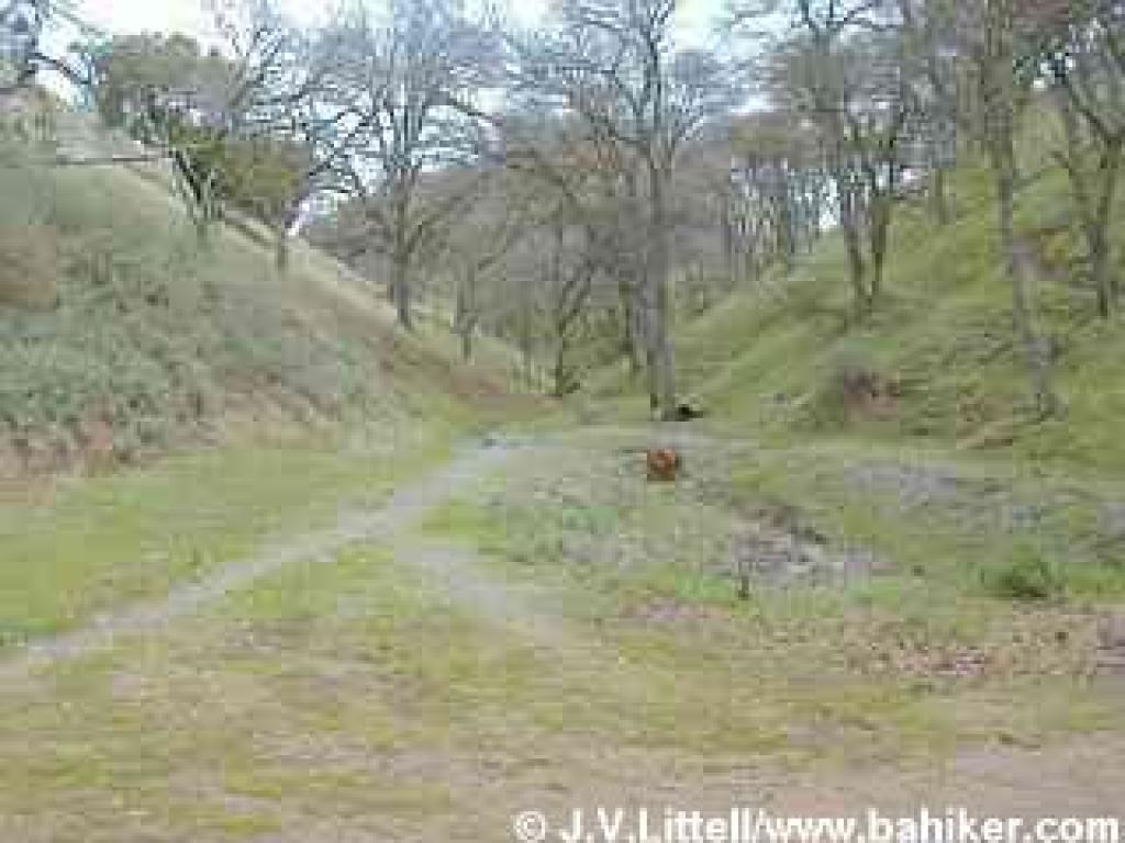 Side path