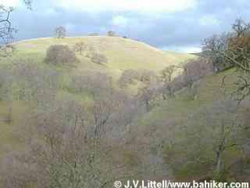 Hillside