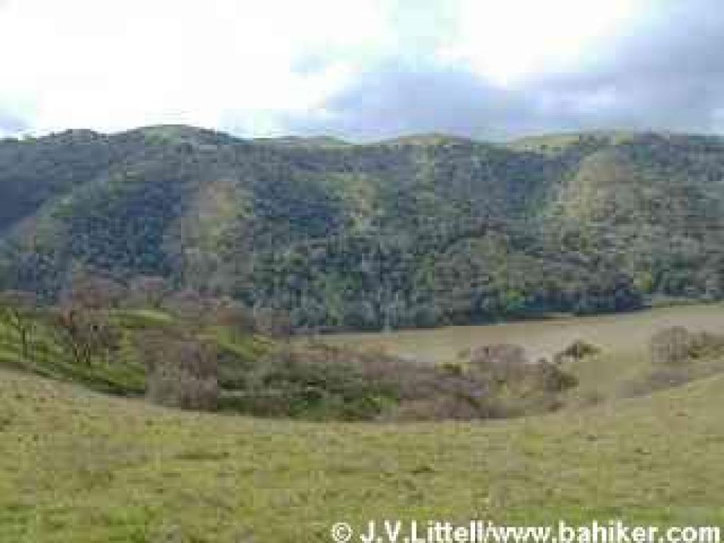 Anothe gljmpse of the reservoir