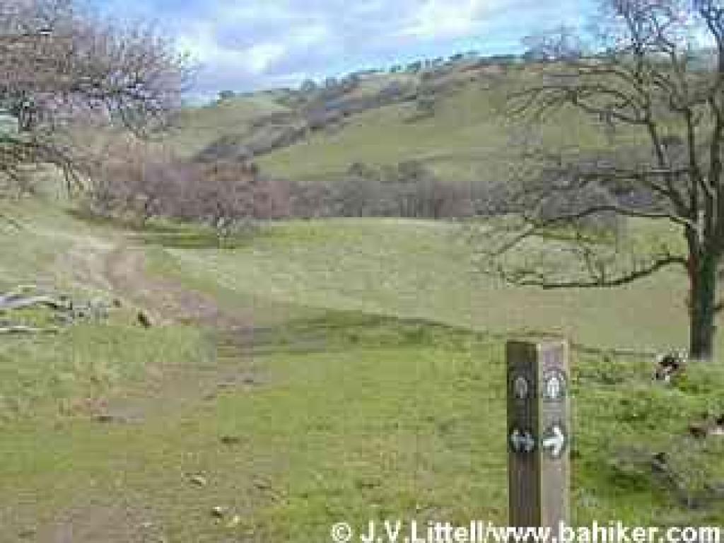 Photo from Del Valle Regional Park