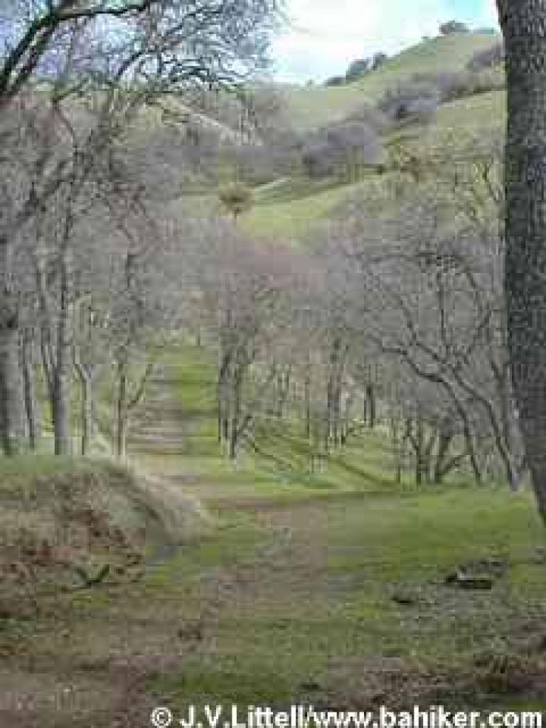 Downhill