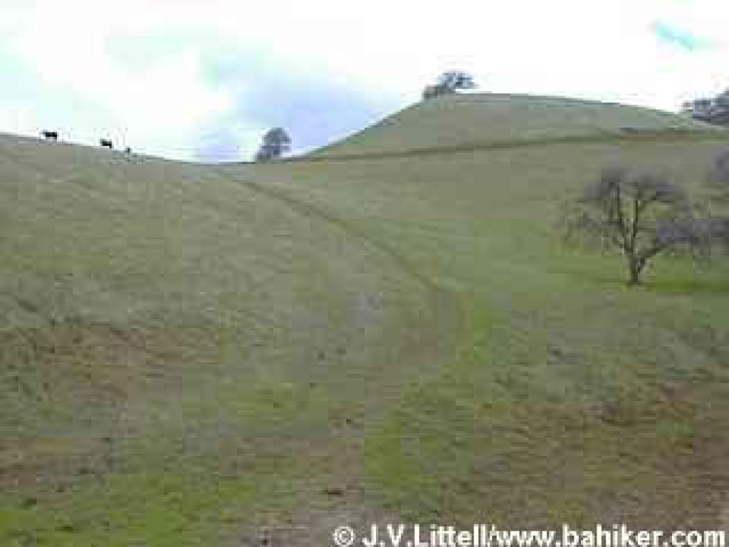 Shortcut to the ridge