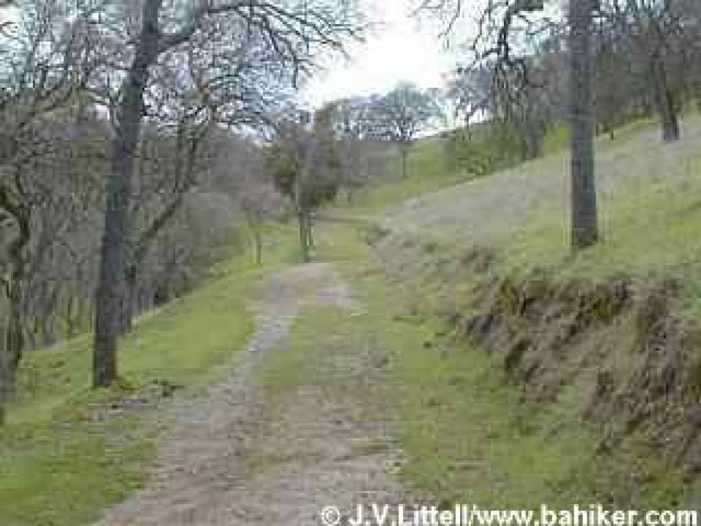 Uphill on Eagle Crest Trail