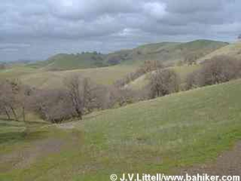 Looking back