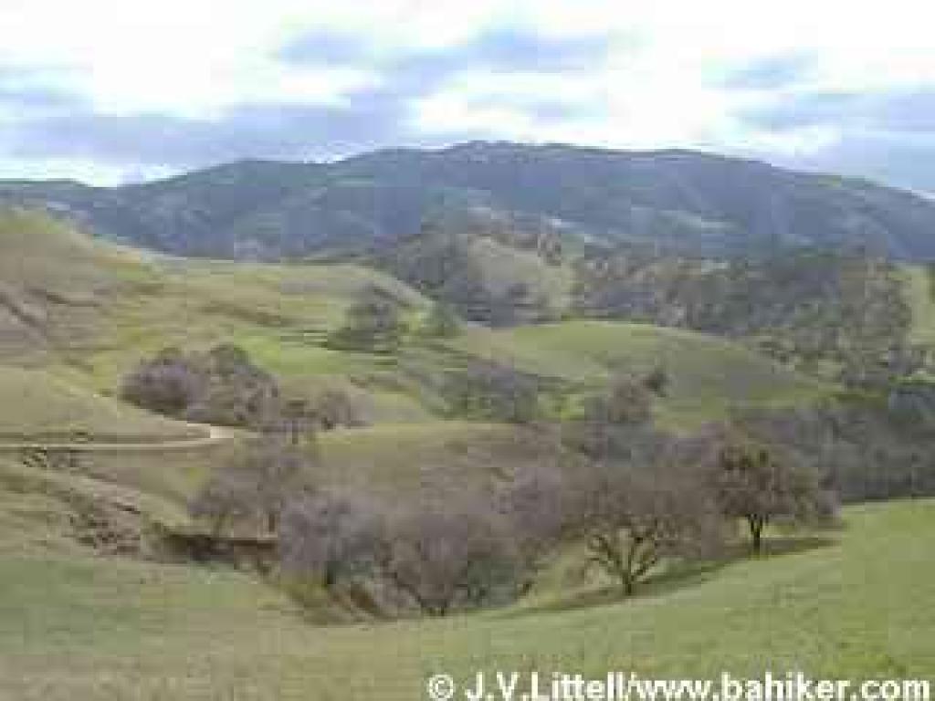Ridgeline Trail