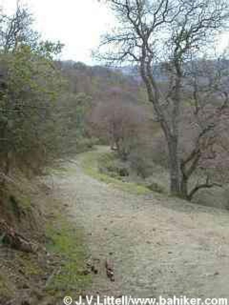 Ridgeline Trail