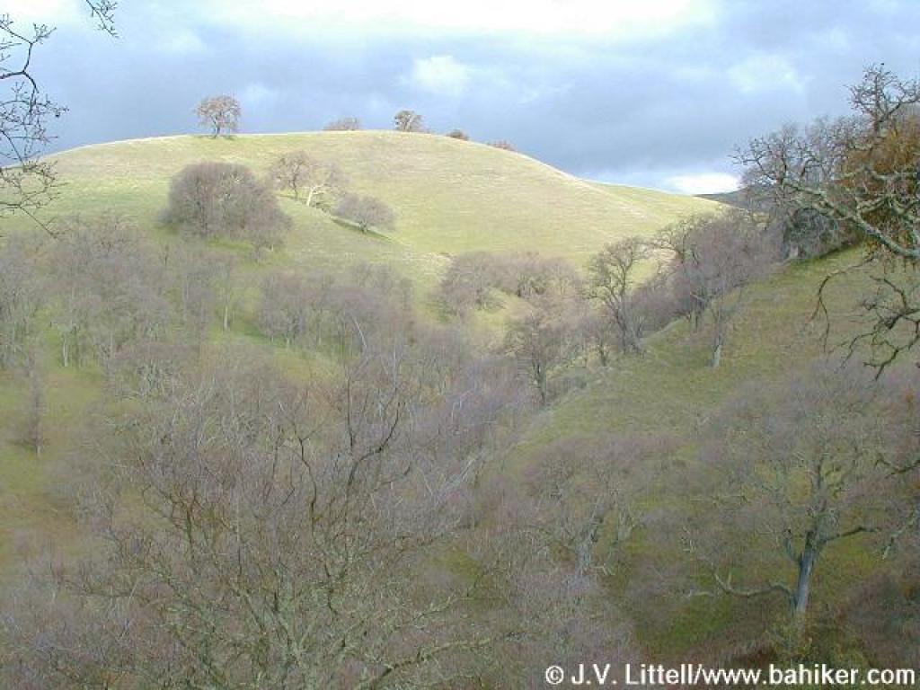 Hillside ...