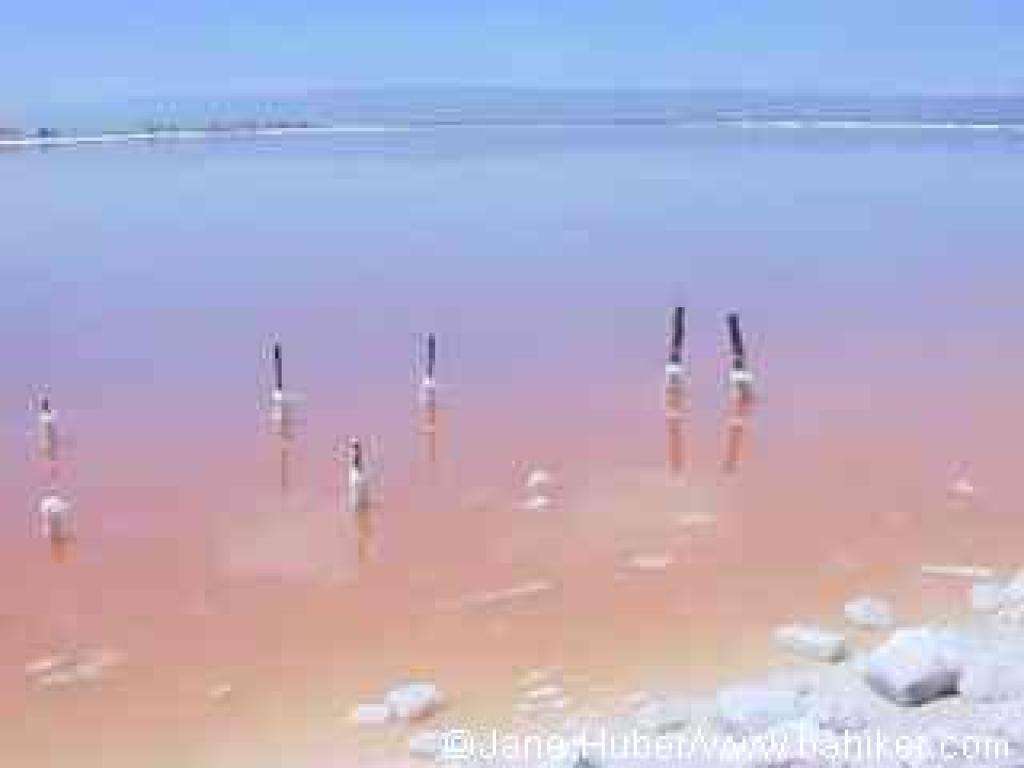 View west across the salt pond