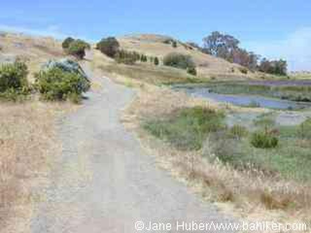 Tidelands Trail